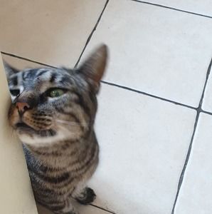 Meet your Posher, Tom